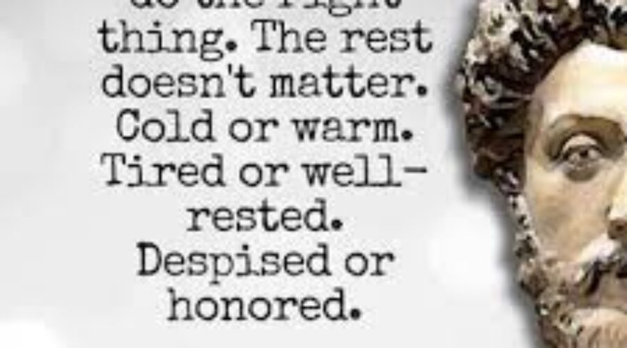 Just that you do the right thing. The rest doesn't matter. Cold or warm. Tired or well-rested. Despised or honored. -Marcus Aurelius