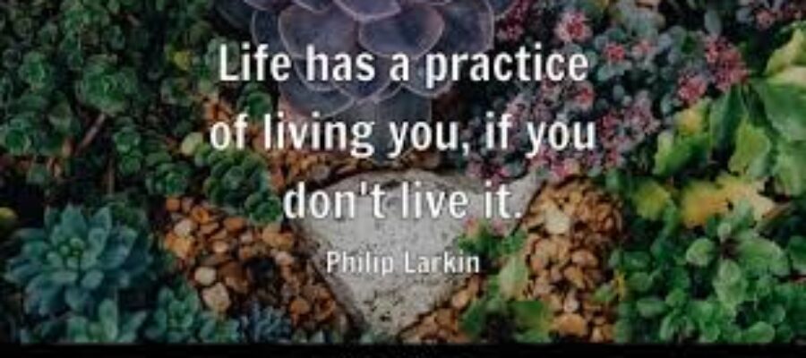 Life has a practice of living you, if you don't live it. ~Philip Larkin